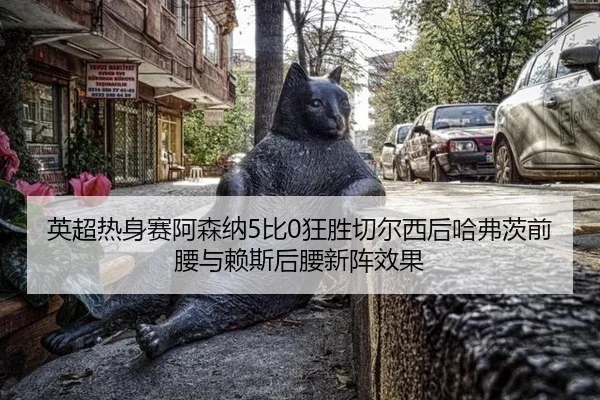 ying-chao-re-shen-sai-a-sen-na-bi-kuang-sheng-qie-er-xi-hou-ha-fu-ci-qian-yao-yu-lai-si-hou-yao-xin-zhen-xiao-guo-3-323.jpg